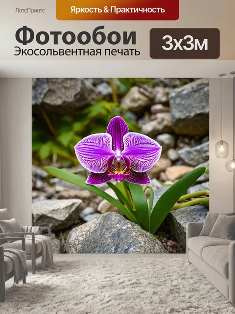 Фотообои орхидея, растущая среди камней в горном районе