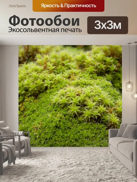Фотообои Мосс