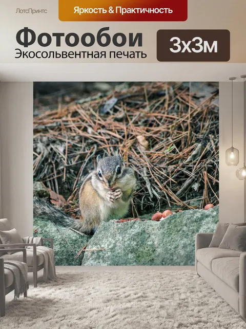 Фотообои Белка