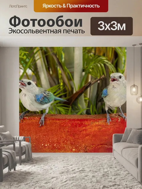 Фотообои Птицы