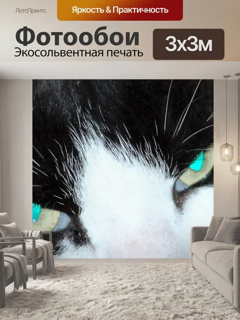 Фотообои Глаз кошки