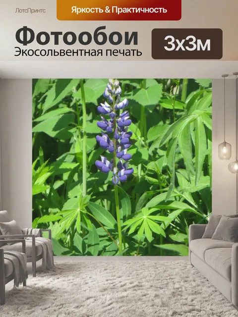 Фотообои люпин