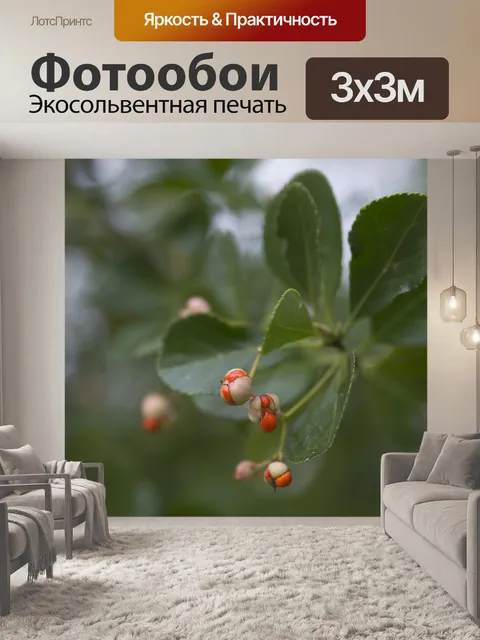 Фотообои Ягода