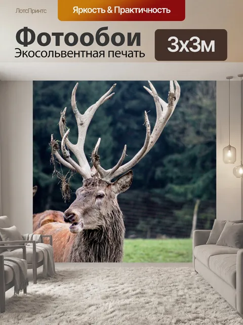 Фотообои Красивое животное