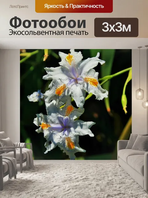 Фотообои дикие цветы ириса