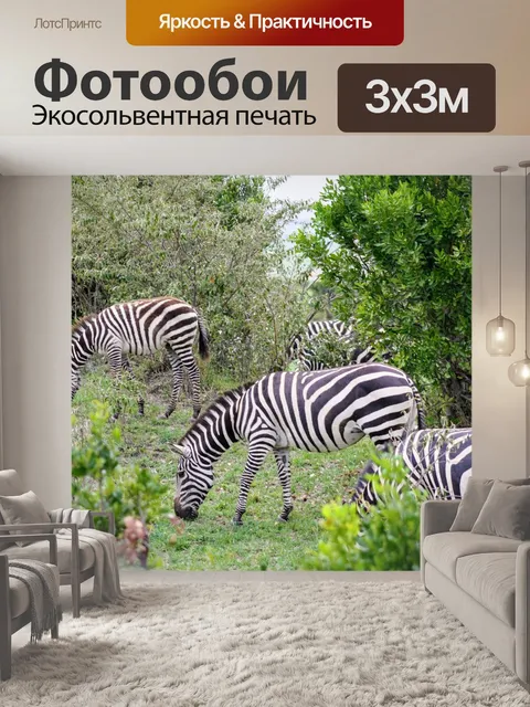 Фотообои Зебра