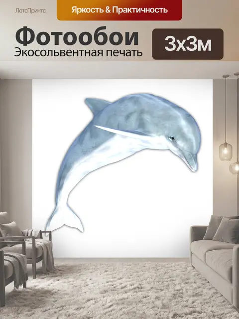 Фотообои Дельфин, изолированных на белом