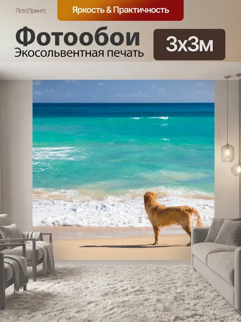 Фотообои Собака на пляже