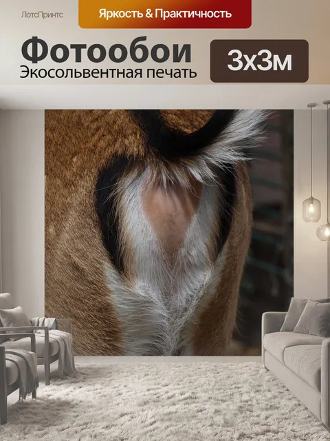Фотообои Олень
