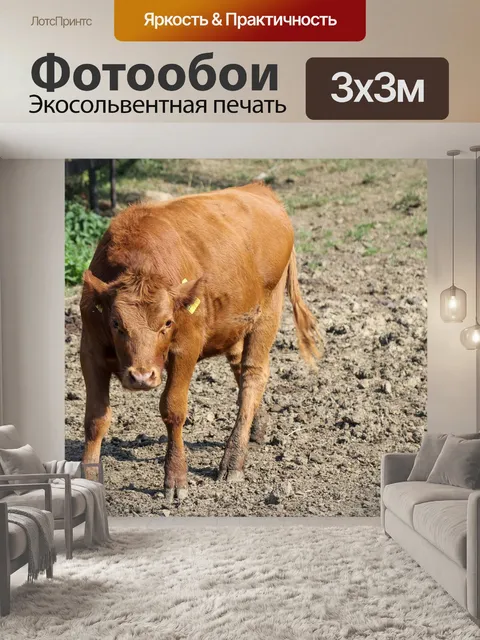 Фотообои Жизнь страны