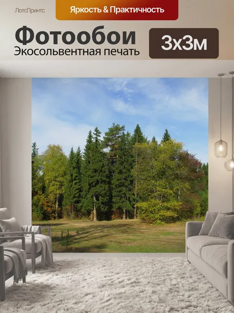 Фотообои Лес
