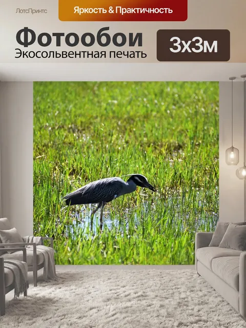 Фотообои Аист