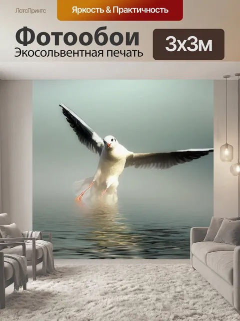 Фотообои Чайка