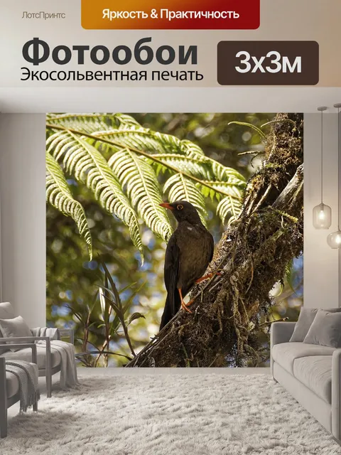 Фотообои Колумбия