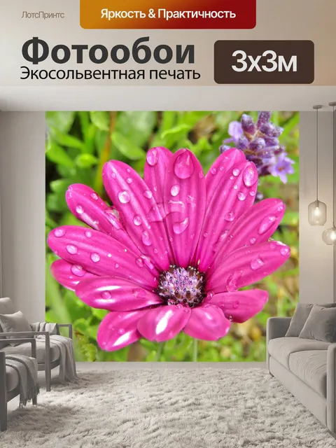 Фотообои Фиолетовый