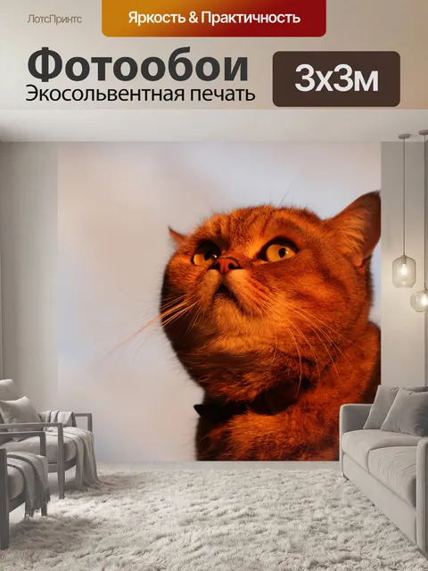 Фотообои Кошка