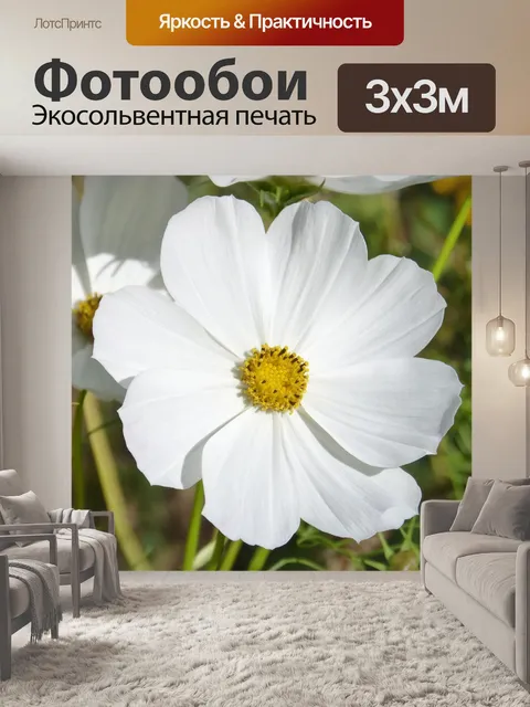 Фотообои Цветок