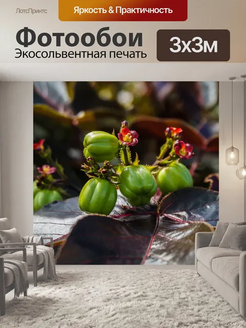 Фотообои Дерево