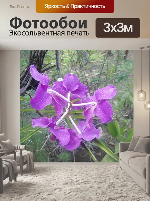 Фотообои Фиолетовый цветок