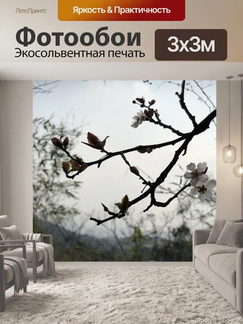 Фотообои Вишни в цвету