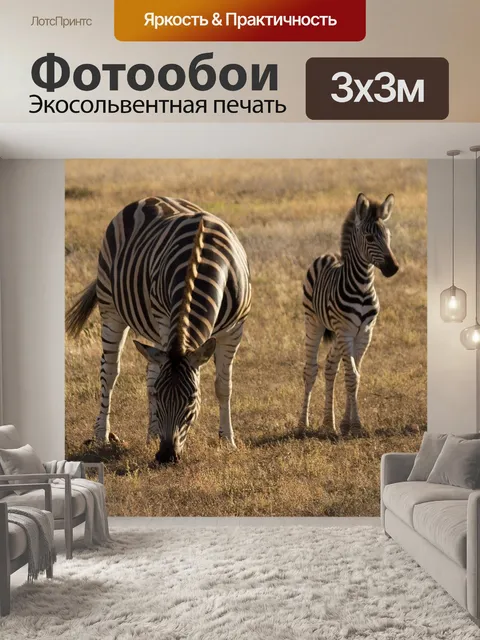 Фотообои Зебра