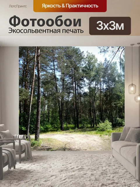 Фотообои Лес, Польша