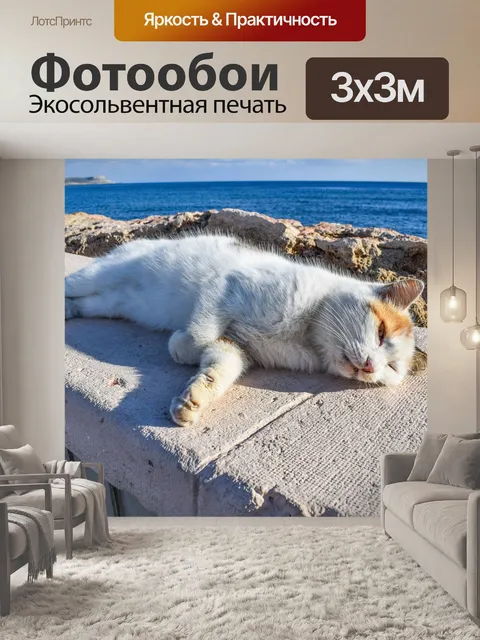 Фотообои Кошка