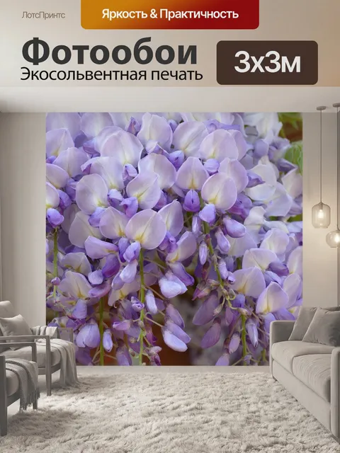 Фотообои Глициния