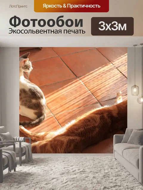 Фотообои Кошки