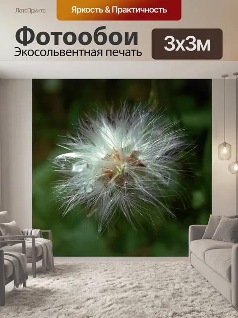 Фотообои Цветы