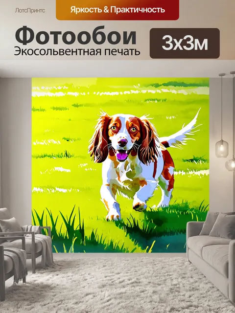 Фотообои спаниель, играющий на зелёном травяном поле, солнечные лучи освещают его веселое выражение