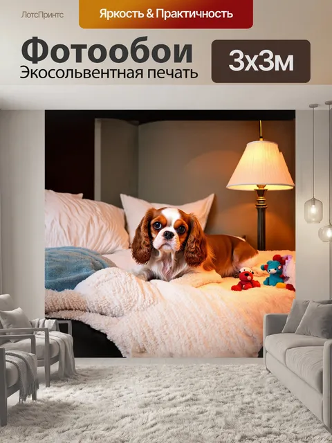Фотообои веселая собака, кавалер кинг чарльз спаниель, лежит в уютной постели, окруженная мягкими подушками и пледами