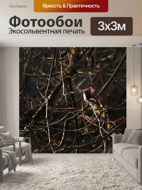 Фотообои Птичка