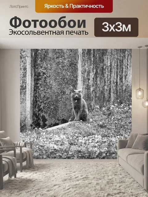 Фотообои Толстый кот сидит