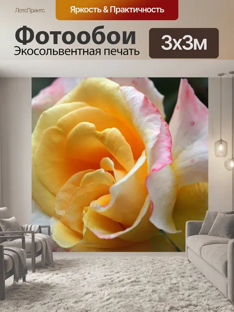Фотообои Кустовая роза