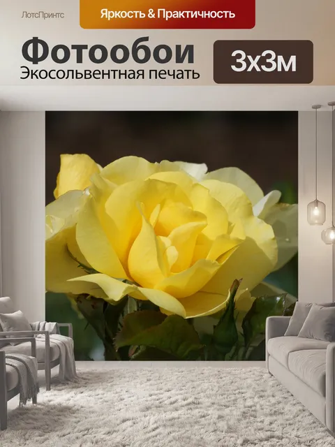 Фотообои Желтая роза