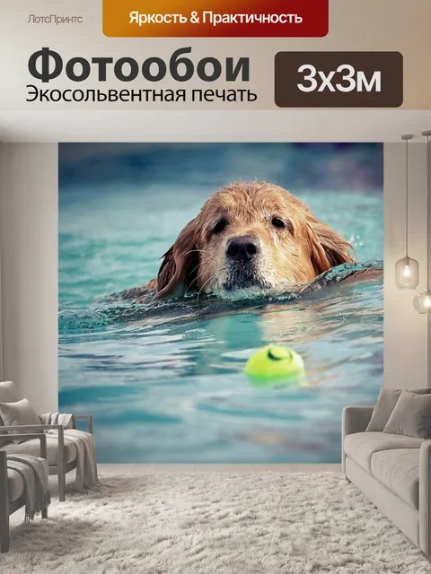 Фотообои Собака