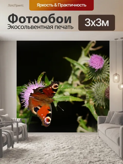 Фотообои Бабочка