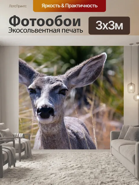 Фотообои Олень