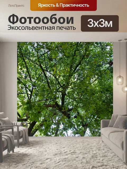 Фотообои Зеленое дерево навес фон