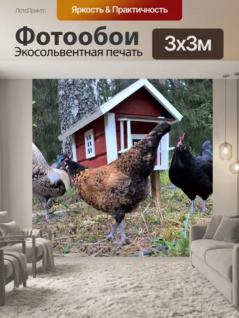 Фотообои Птицы