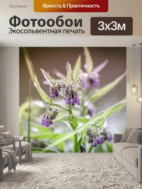 Фотообои Полевой цветок