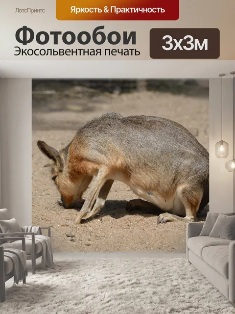 Фотообои Мара 02