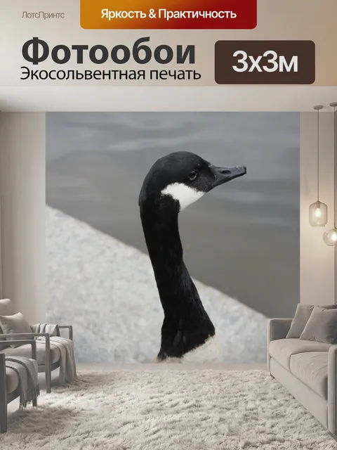 Фотообои Гусь