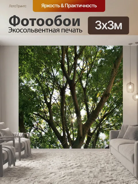 Фотообои большое дерево с солнцем подглядывания
