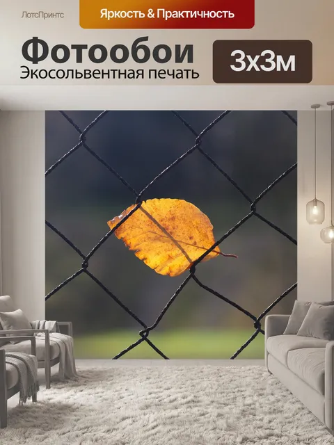 Фотообои Осень