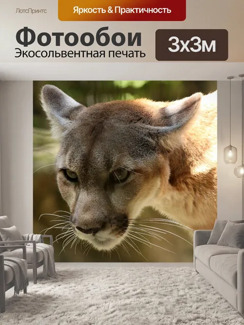 Фотообои Пума