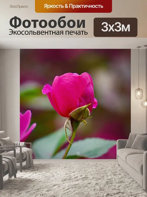 Фотообои Розы