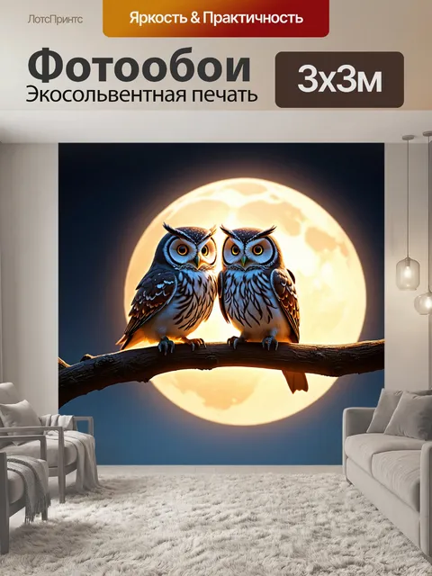Фотообои две совы, сидящие на ветке и разговаривающие при свете луны с романтической атмосферой