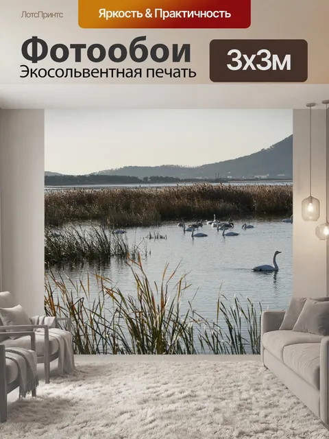 Фотообои Лебеди